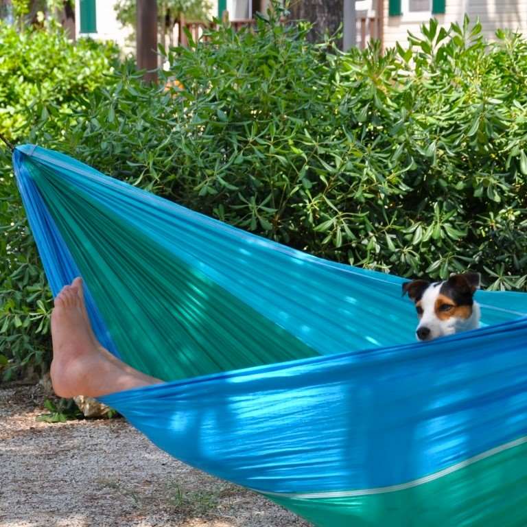 Hammocks